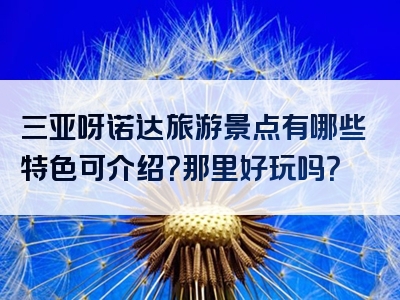 三亚呀诺达旅游景点有哪些特色可介绍？那里好玩吗？