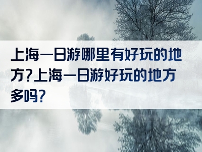 上海一日游哪里有好玩的地方？上海一日游好玩的地方多吗？