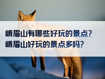 峨眉山有哪些好玩的景点？峨眉山好玩的景点多吗？