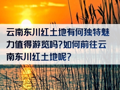 云南东川红土地有何独特魅力值得游览吗？如何前往云南东川红土地呢？