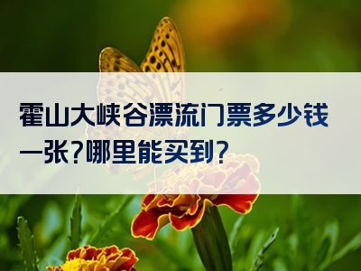 霍山大峡谷漂流门票多少钱一张？哪里能买到？