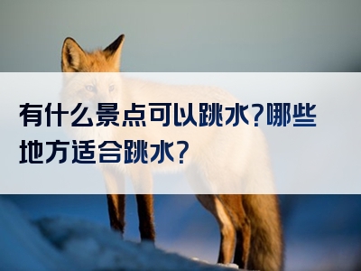 有什么景点可以跳水？哪些地方适合跳水？