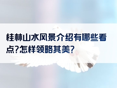 桂林山水风景介绍有哪些看点？怎样领略其美？