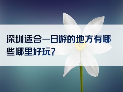 深圳适合一日游的地方有哪些哪里好玩？