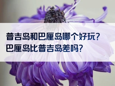 普吉岛和巴厘岛哪个好玩？巴厘岛比普吉岛差吗？