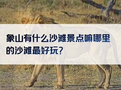象山有什么沙滩景点嘛哪里的沙滩最好玩？