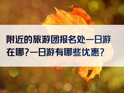 附近的旅游团报名处一日游在哪？一日游有哪些优惠？