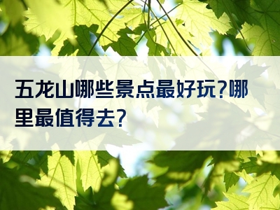 五龙山哪些景点最好玩？哪里最值得去？