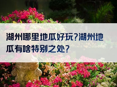 湖州哪里地瓜好玩？湖州地瓜有啥特别之处？
