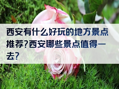 西安有什么好玩的地方景点推荐？西安哪些景点值得一去？