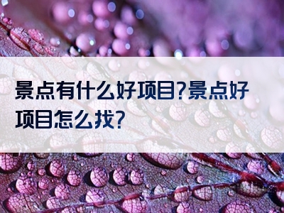 景点有什么好项目？景点好项目怎么找？