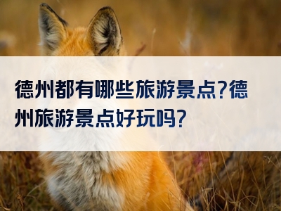 德州都有哪些旅游景点？德州旅游景点好玩吗？