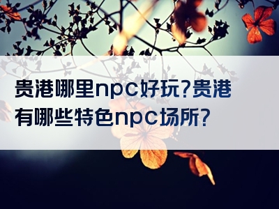 贵港哪里npc好玩？贵港有哪些特色npc场所？