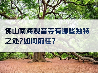 佛山南海观音寺有哪些独特之处？如何前往？