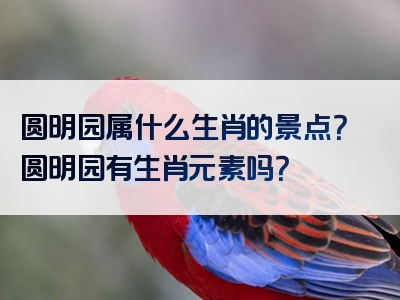 圆明园属什么生肖的景点？圆明园有生肖元素吗？