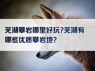 芜湖攀岩哪里好玩？芜湖有哪些优质攀岩地？