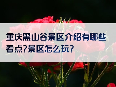 重庆黑山谷景区介绍有哪些看点？景区怎么玩？
