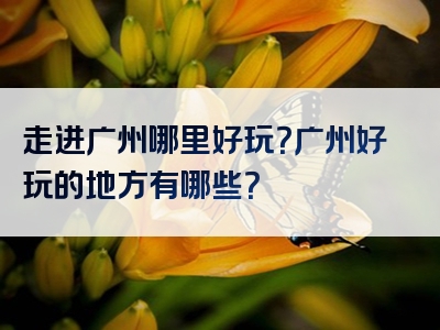 走进广州哪里好玩？广州好玩的地方有哪些？