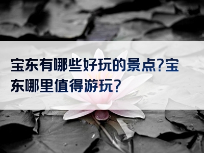 宝东有哪些好玩的景点？宝东哪里值得游玩？