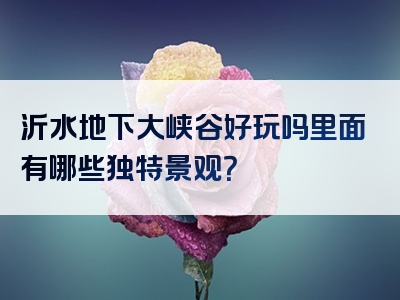 沂水地下大峡谷好玩吗里面有哪些独特景观？