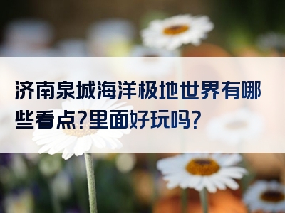 济南泉城海洋极地世界有哪些看点？里面好玩吗？