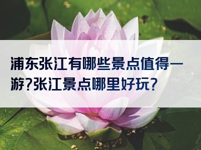 浦东张江有哪些景点值得一游？张江景点哪里好玩？