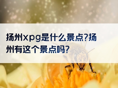 扬州xpg是什么景点？扬州有这个景点吗？
