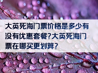 大英死海门票价格是多少有没有优惠套餐？大英死海门票在哪买更划算？