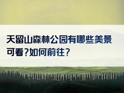 天留山森林公园有哪些美景可看？如何前往？