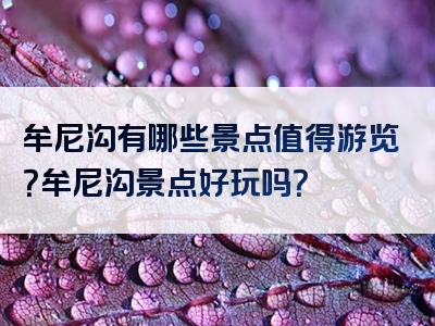 牟尼沟有哪些景点值得游览？牟尼沟景点好玩吗？