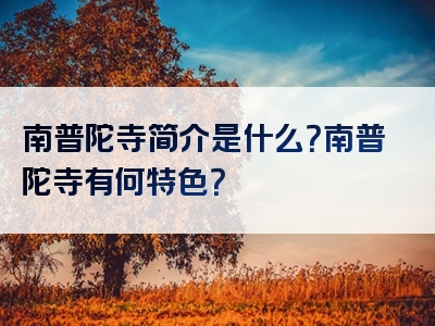 南普陀寺简介是什么？南普陀寺有何特色？
