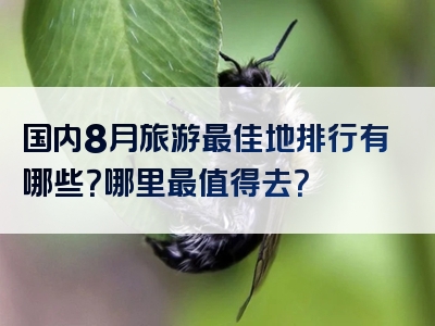 国内8月旅游最佳地排行有哪些？哪里最值得去？