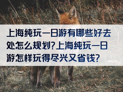 上海纯玩一日游有哪些好去处怎么规划？上海纯玩一日游怎样玩得尽兴又省钱？