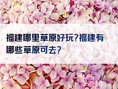 福建哪里草原好玩？福建有哪些草原可去？