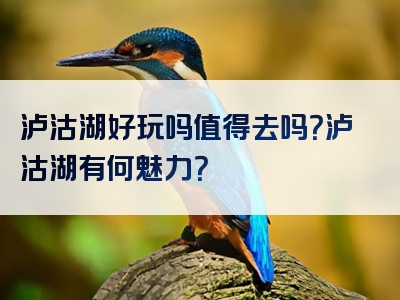泸沽湖好玩吗值得去吗？泸沽湖有何魅力？