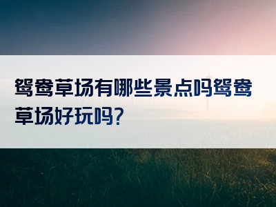 鸳鸯草场有哪些景点吗鸳鸯草场好玩吗？