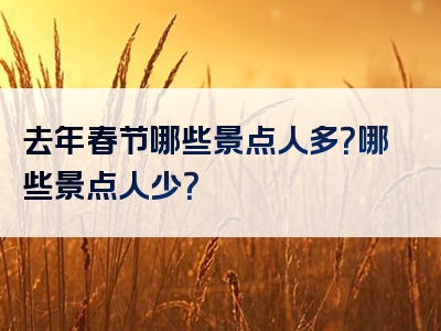 去年春节哪些景点人多？哪些景点人少？