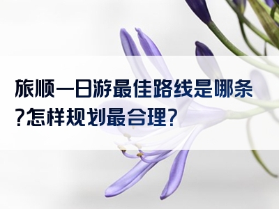 旅顺一日游最佳路线是哪条？怎样规划最合理？