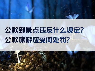 公款到景点违反什么规定？公款旅游应受何处罚？