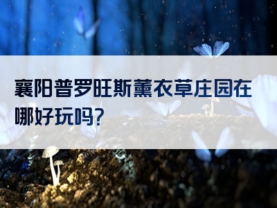 襄阳普罗旺斯薰衣草庄园在哪好玩吗？