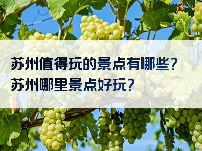苏州值得玩的景点有哪些？苏州哪里景点好玩？