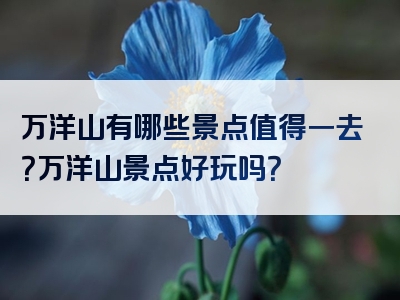 万洋山有哪些景点值得一去？万洋山景点好玩吗？