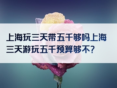 上海玩三天带五千够吗上海三天游玩五千预算够不？