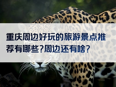 重庆周边好玩的旅游景点推荐有哪些？周边还有啥？