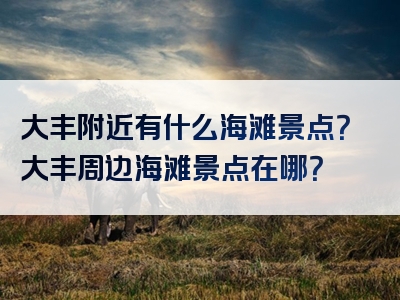 大丰附近有什么海滩景点？大丰周边海滩景点在哪？