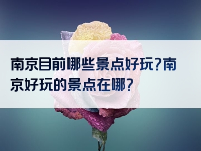 南京目前哪些景点好玩？南京好玩的景点在哪？