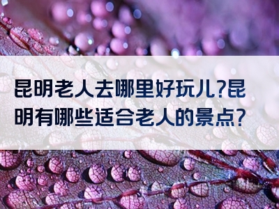 昆明老人去哪里好玩儿？昆明有哪些适合老人的景点？