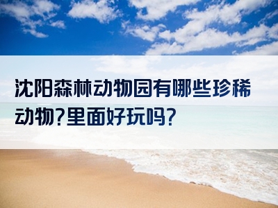 沈阳森林动物园有哪些珍稀动物？里面好玩吗？