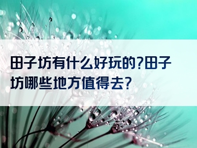 田子坊有什么好玩的？田子坊哪些地方值得去？