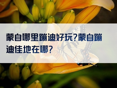蒙自哪里蹦迪好玩？蒙自蹦迪佳地在哪？